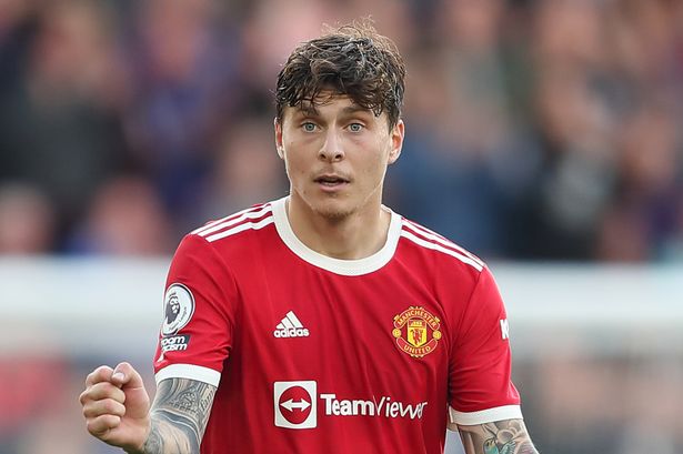 Victor Lindelof image
